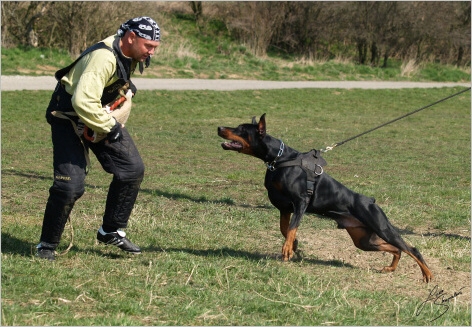 Training in Prague - 2. 4. 2008